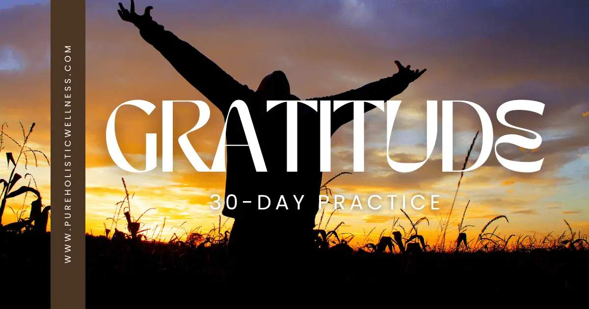 The Gratitude Practice: 30 Days to Changing Your Reality