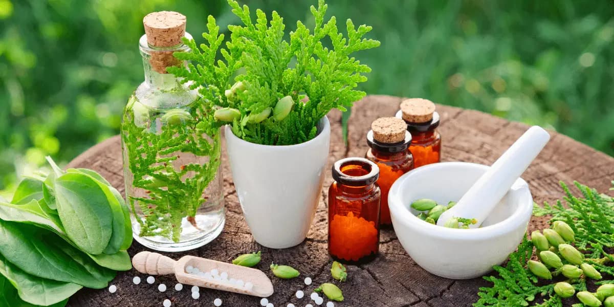 Natural Relief: Homeopathy Remedy for Flu