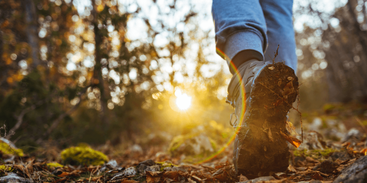 Why Everyone's Talking About This Gentle Japanese Walking Method for Mind-Body Balance