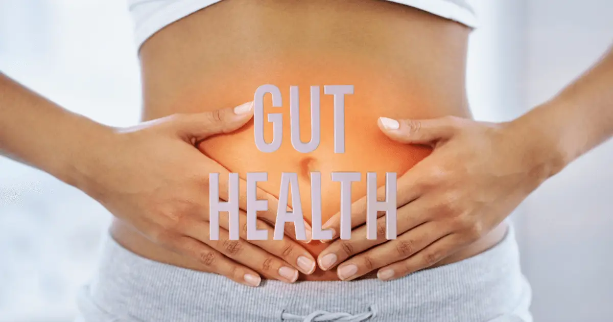 An image showing the concept of gut health, with a focus on promoting a healthy digestive system.