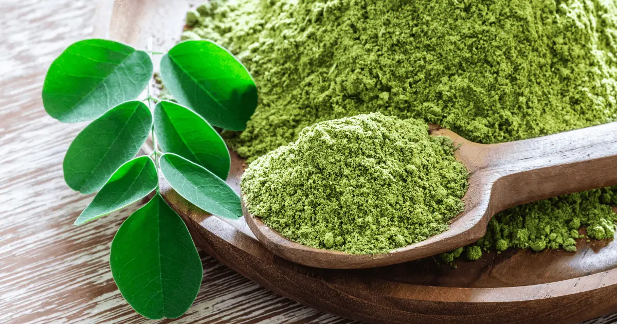 Moringa powder, a superfood, is rich in protein and fiber, promoting health and nutrition in a compact form.