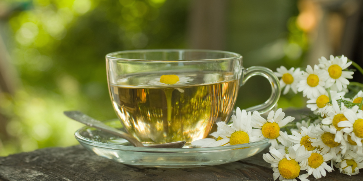 Chamomile as a digestive healer and SIBO support ingredient.