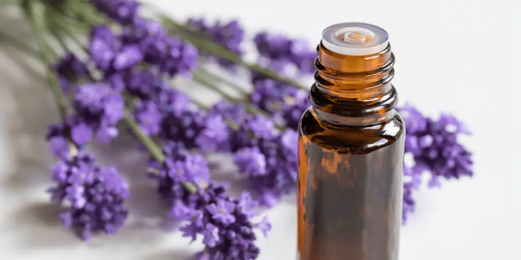 A bottle of natural remedy for tics, showing the label and a few droplets of the liquid inside.