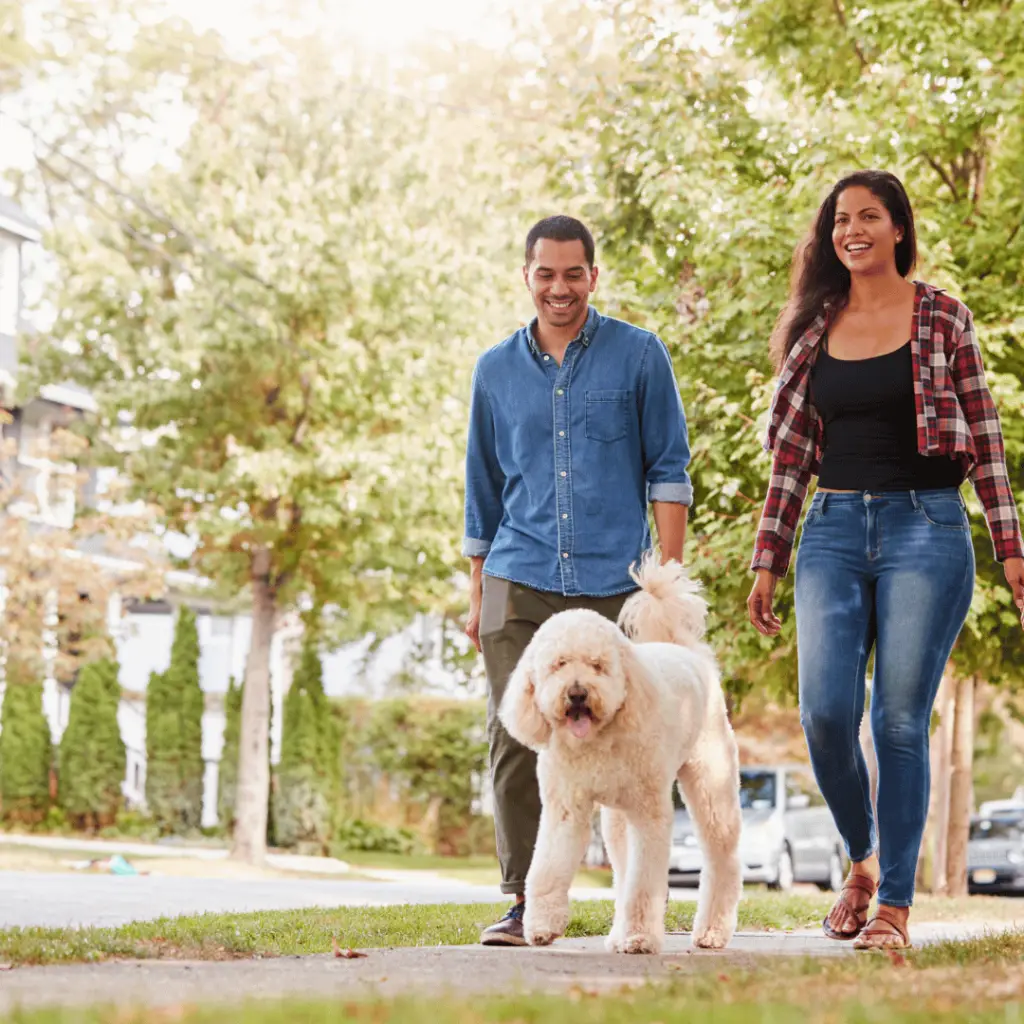 A couple walking their dog down a street as part of the 30-day walking challenge.