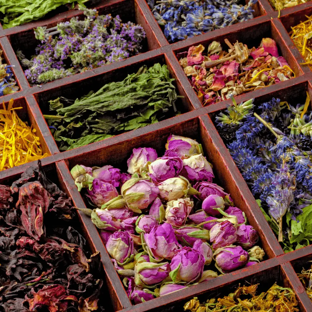 Insomniac Diet such as herbs