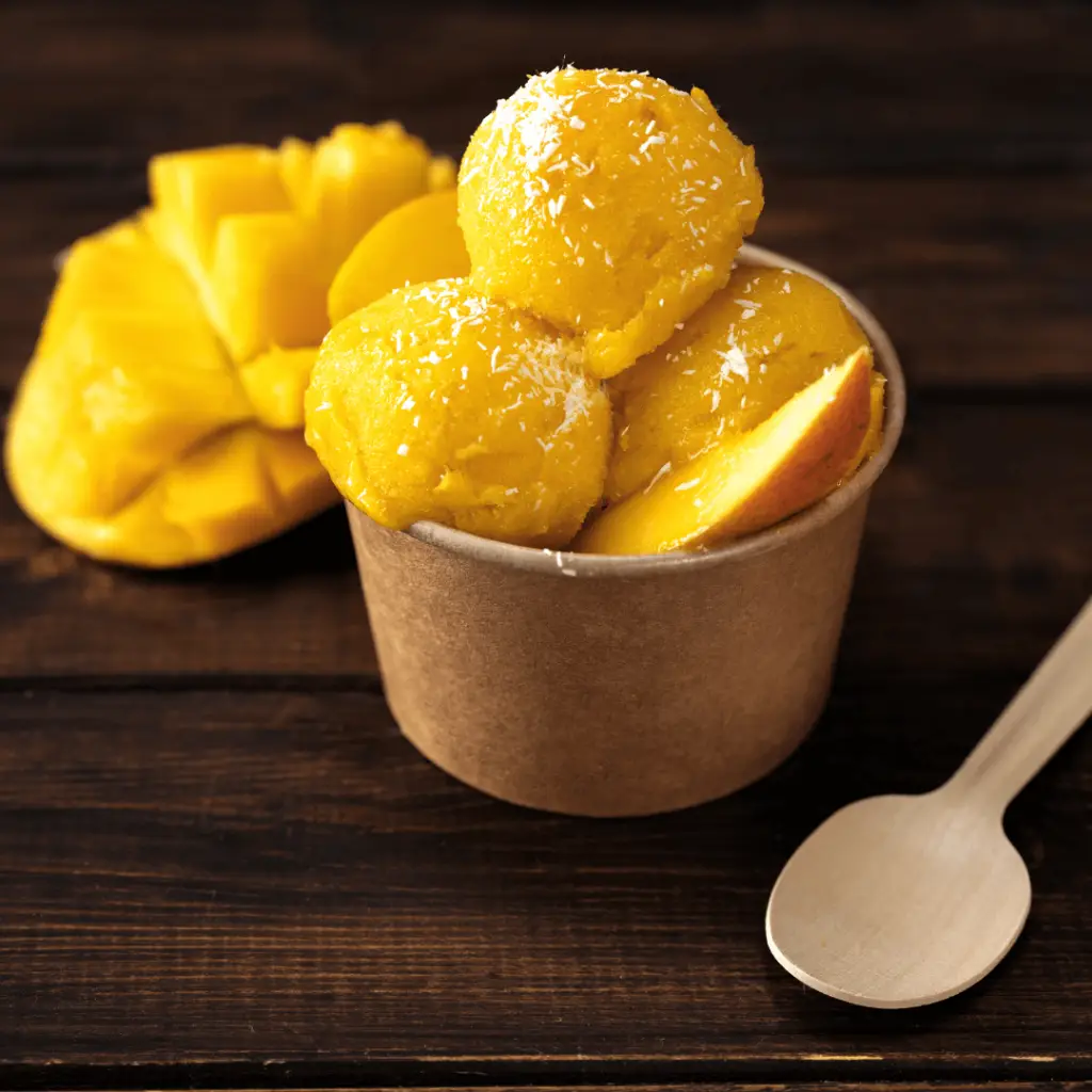 Sorbet homemade with the ninja creami ice cream maker
