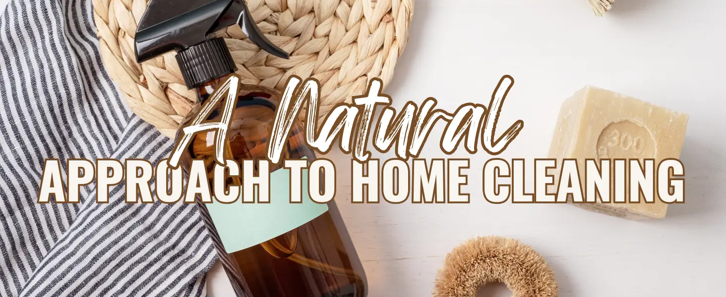 A serene home environment showcasing natural cleaning products and plants, emphasizing a holistic approach to cleanliness.