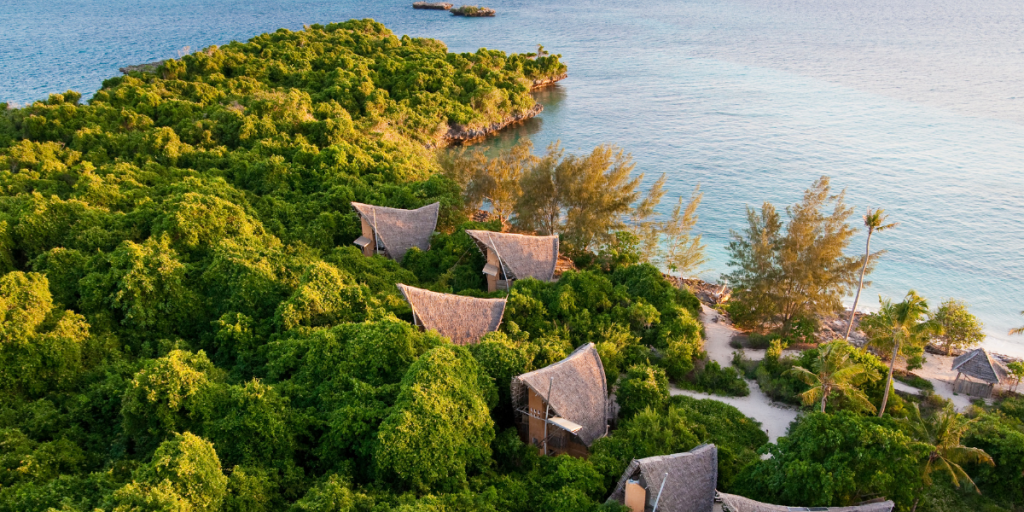 5 Eco Spirituality Practices That Actually Heal Your Nervous System