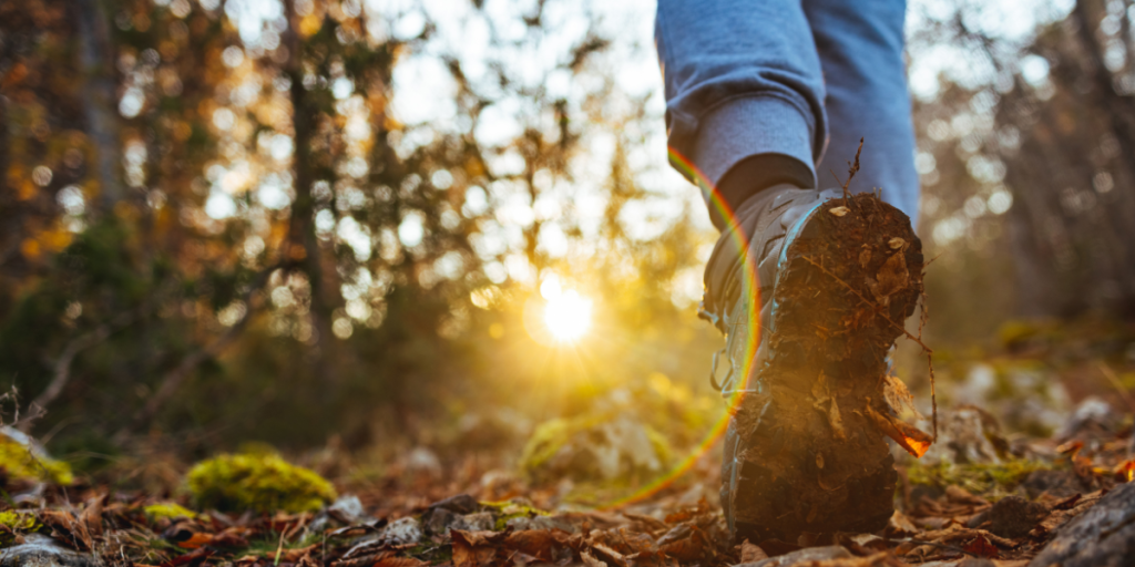 Why Everyone's Talking About This Gentle Japanese Walking Method for Mind-Body Balance