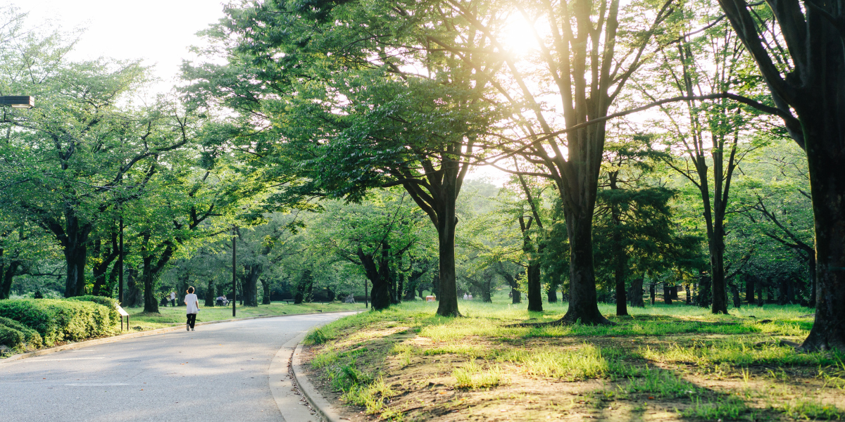The Uncomfortable Truth About Modern Walking vs Ancient Japanese Walking